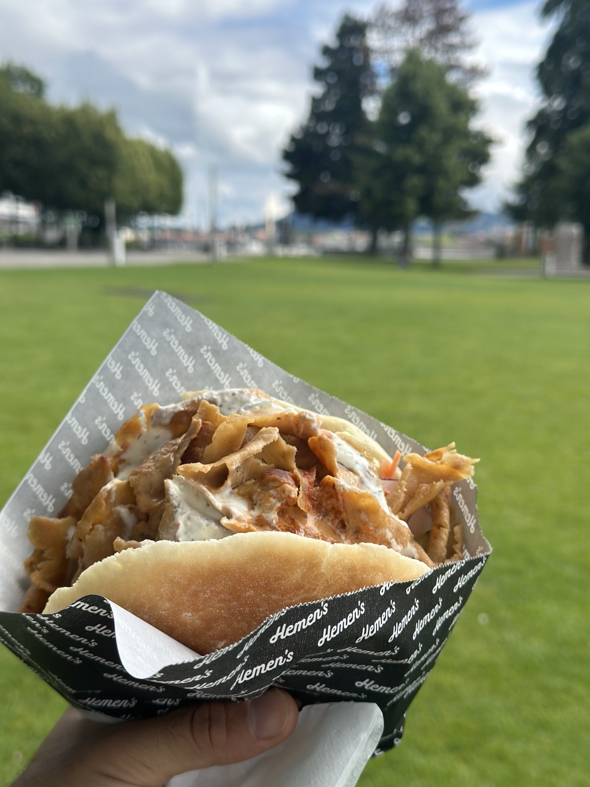 Hemen's Döner im Park